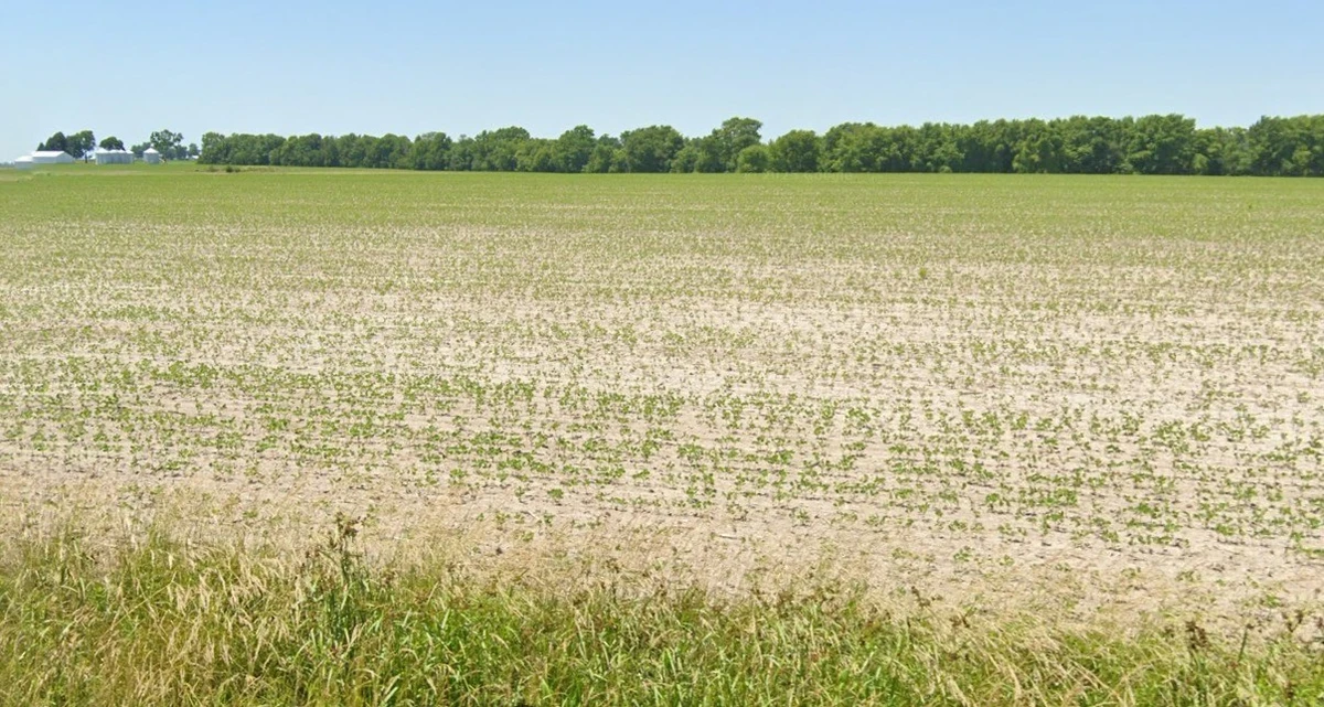 Basondi, Madhya Pradesh 475220, India
