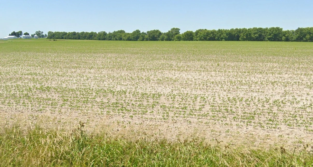 Basondi, Madhya Pradesh 475220, India