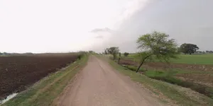 Budaun, Uttar Pradesh 243601, India preview 2