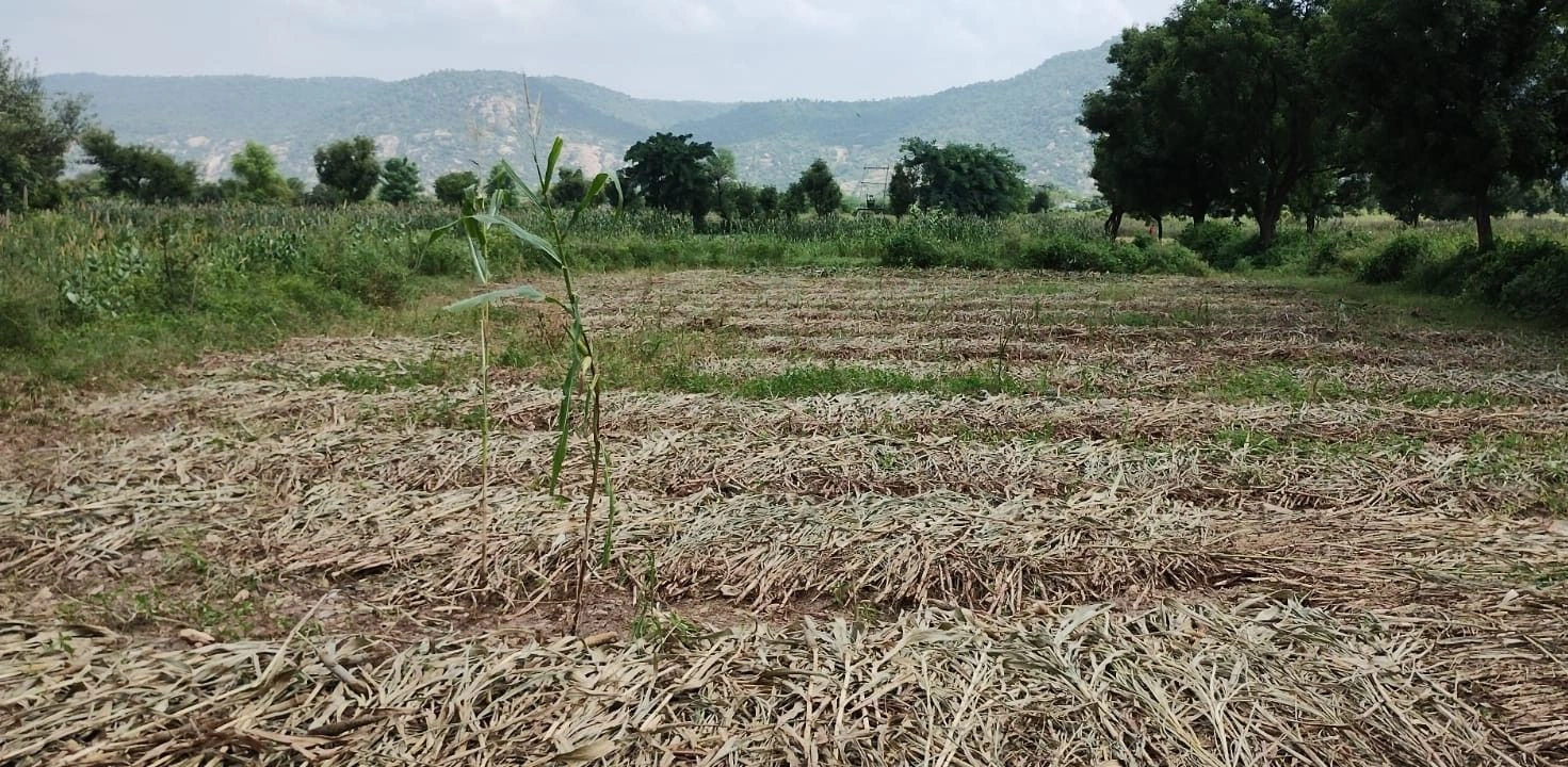 Bhojpur, Rajasthan 321024, India