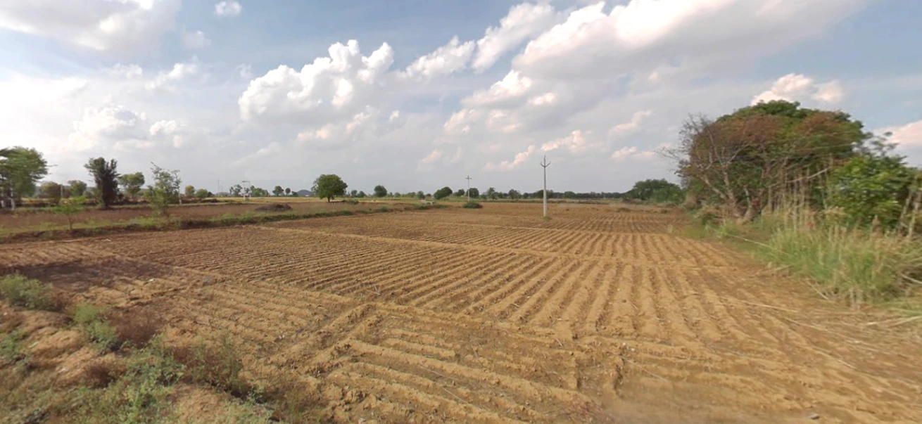 WWP2+648, Muradwas, Rajasthan 301411, India