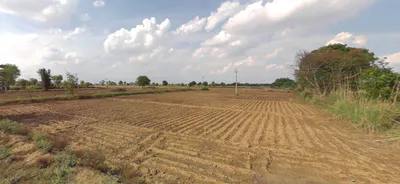 WWP2+648, Muradwas, Rajasthan 301411, India preview 2