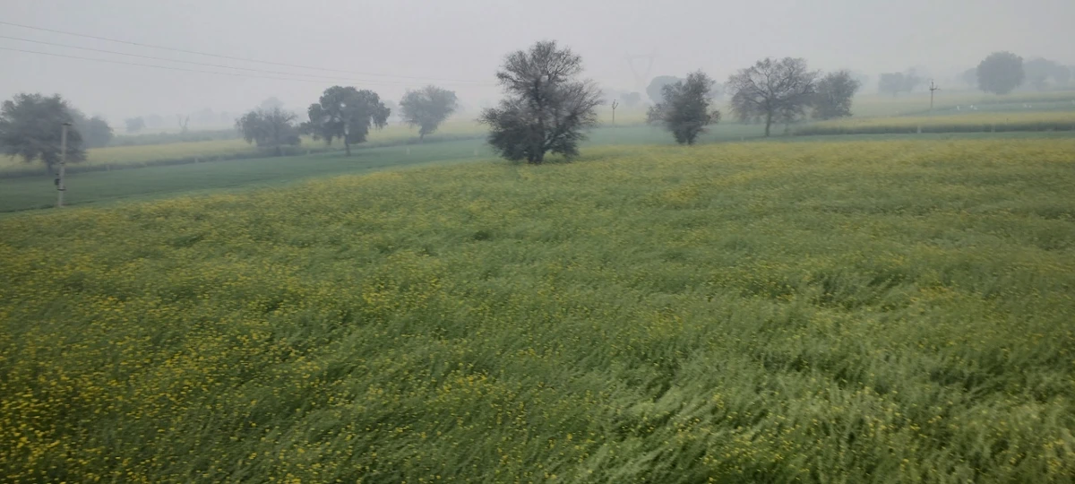 Seetal, Rajasthan 301021, India