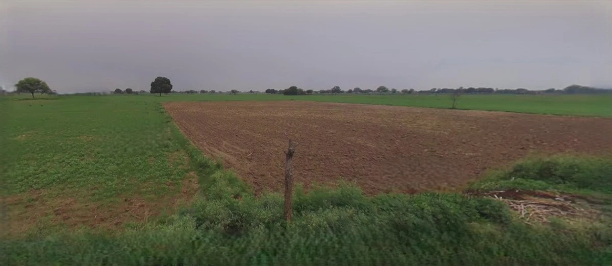 Panipat, Haryana, India