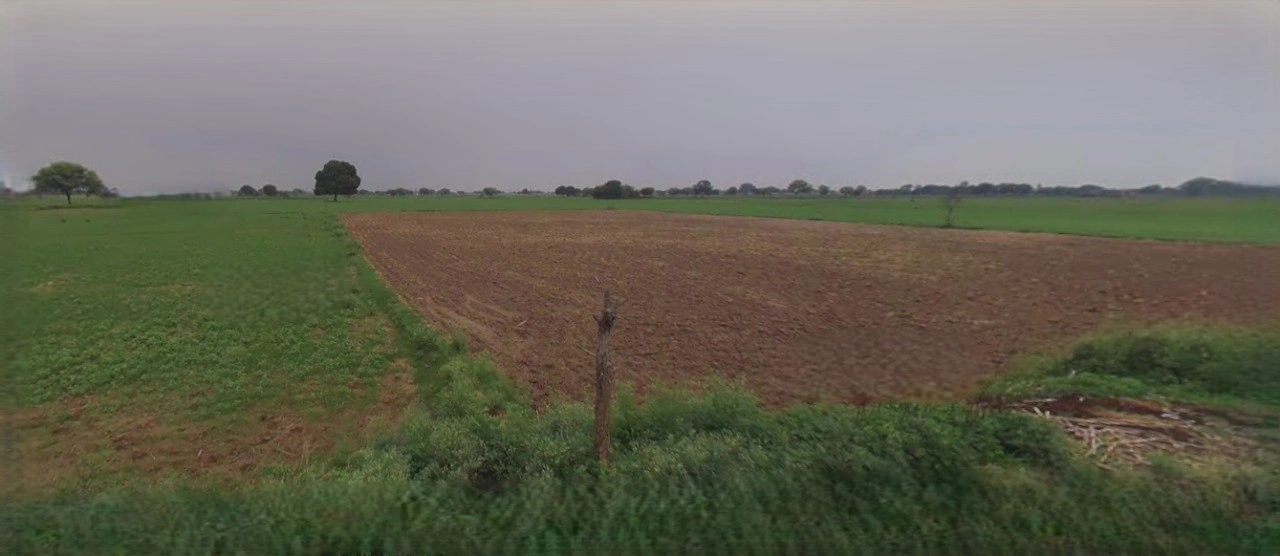 Panipat, Haryana, India