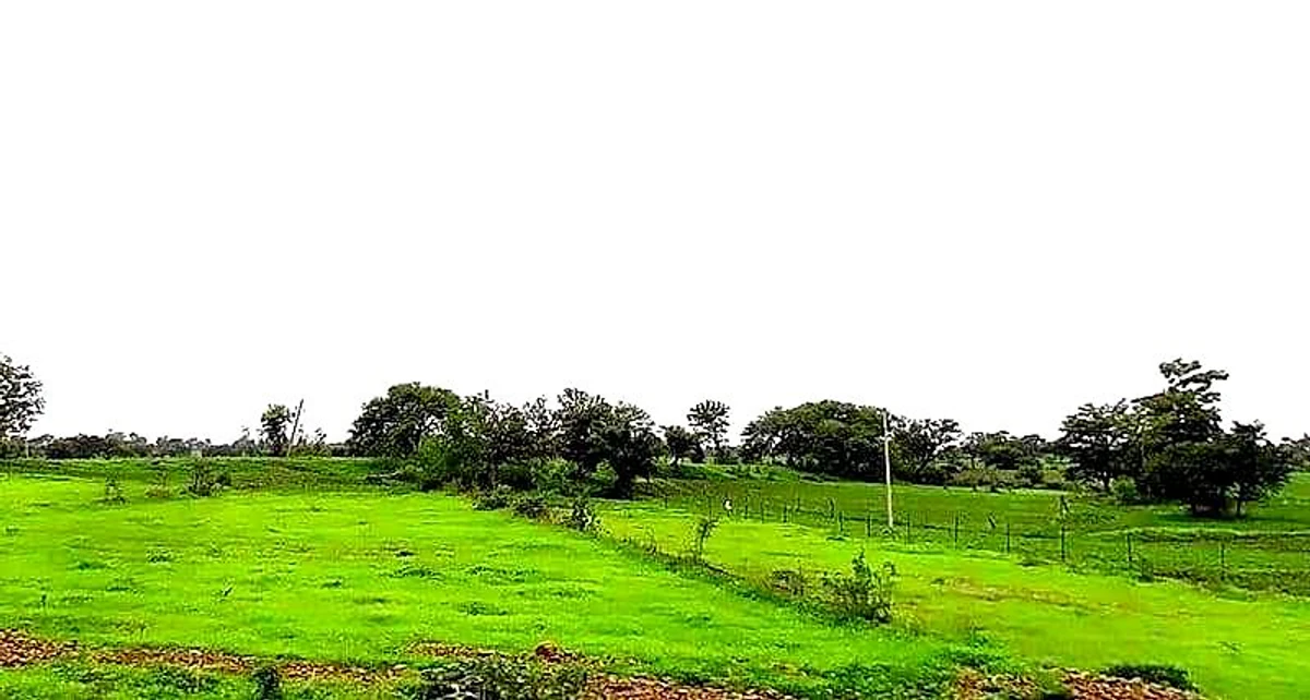 Duraha, Madhya Pradesh 466661, India