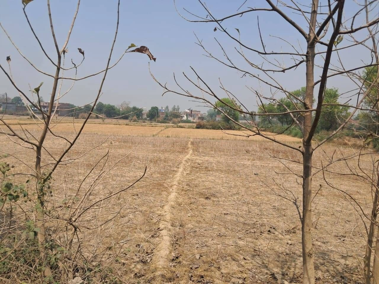 RGF5+VXP, Pilkhani, Uttar Pradesh 247451, India