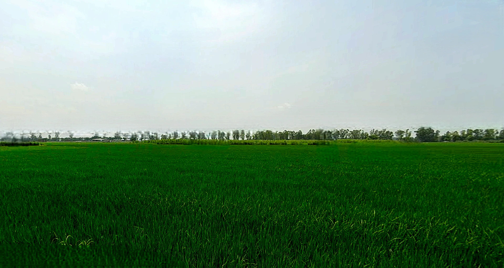 Morinda - Chunni Rd, Bhateri, Punjab, India