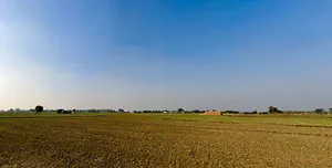 Banur, Punjab, India preview 2