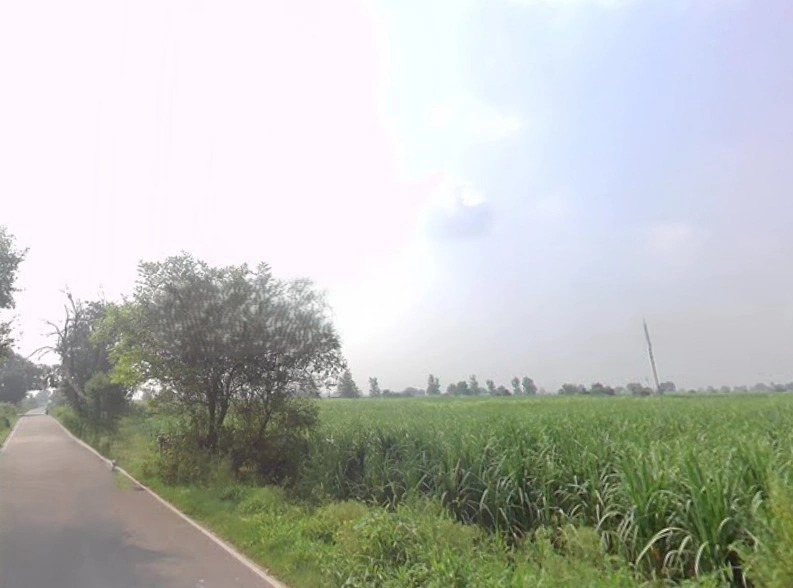 Baraut, Uttar Pradesh 250611, India