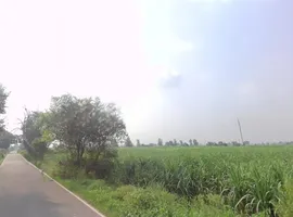 Baraut, Uttar Pradesh 250611, India preview 2