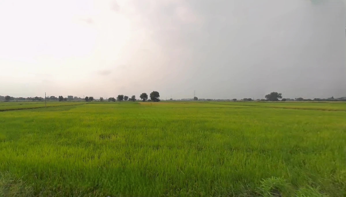 Kohara, Punjab 141112, India