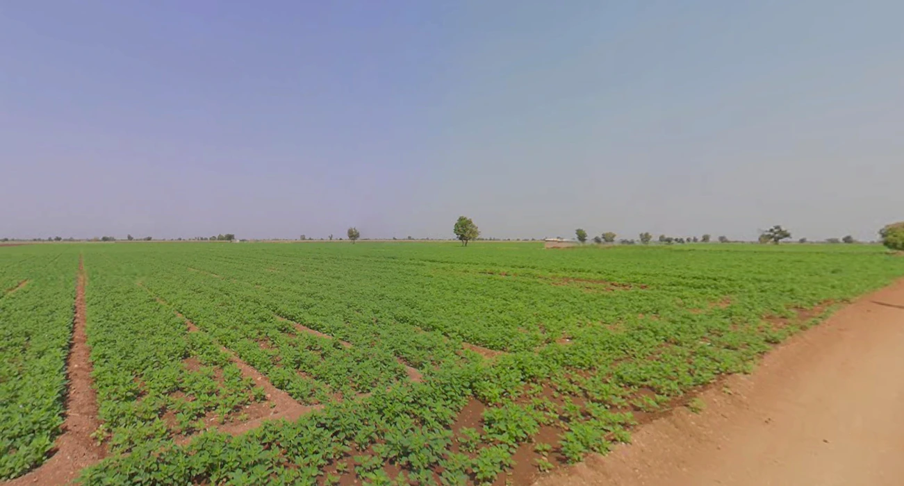 Kelshi, Maharashtra 415717, India