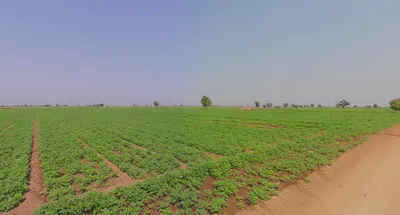 Kelshi, Maharashtra 415717, India preview 2