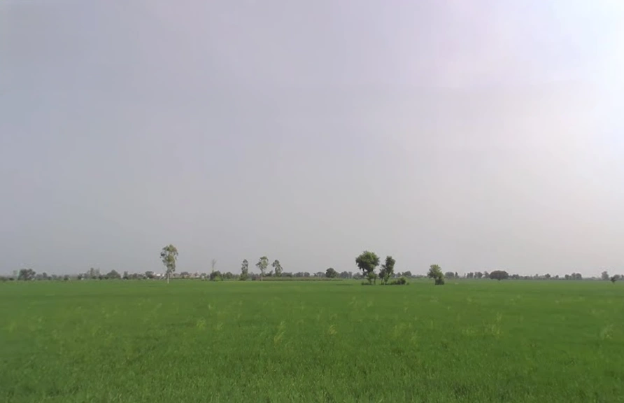 Urlana Kalan, Haryana, India