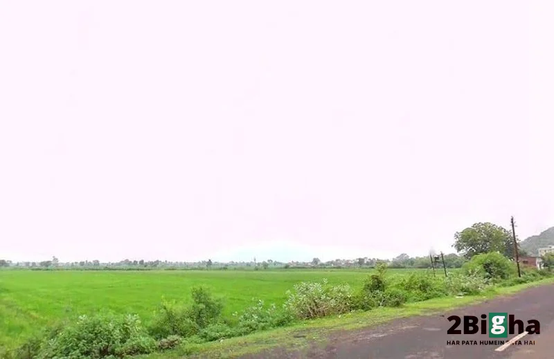 QF2J+FM9, Salkanpur, Madhya Pradesh 466446, India preview 2