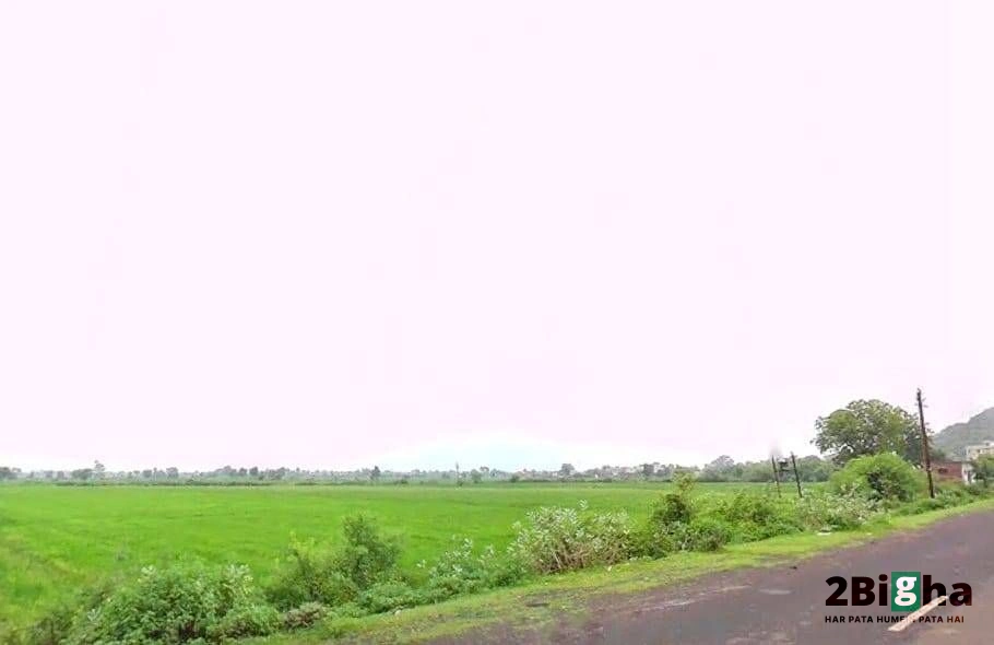 QF2J+FM9, Salkanpur, Madhya Pradesh 466446, India