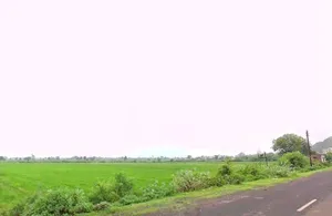 QF2J+FM9, Salkanpur, Madhya Pradesh 466446, India preview 2