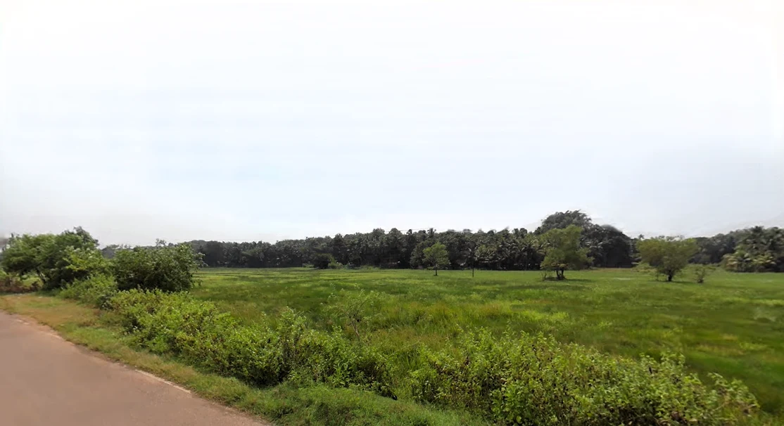 Palolem, Canacona, Goa, India