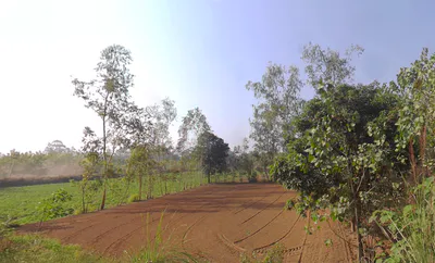 Roorkee Byp Rd, Todakalyanpur, Roorkee, Uttarakhand, India preview 2