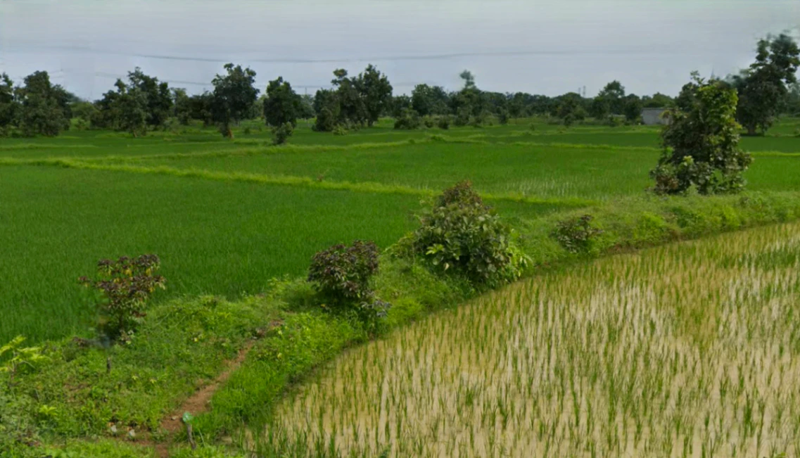 Mudpar 1, Chhattisgarh 493225, India
