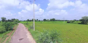 Bijnor, Uttar Pradesh 246701, India preview 3