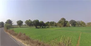 78R7+86 Kadi, Gujarat, India preview 2