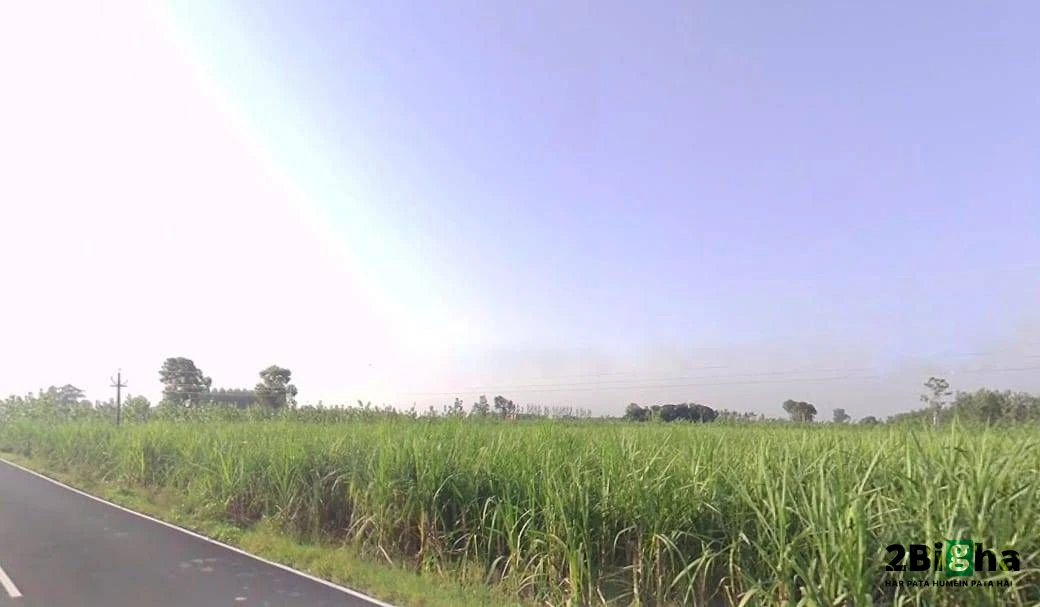 Khatauli, Uttar Pradesh 251201, India