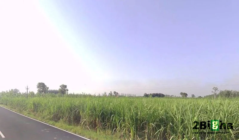 Khatauli, Uttar Pradesh 251201, India preview 2