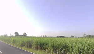Khatauli, Uttar Pradesh 251201, India preview 2
