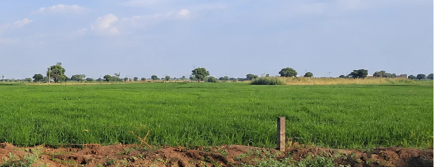 Keshoraipatan, Bundi, Rajasthan, India