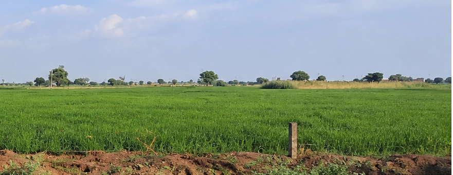 Keshoraipatan, Bundi, Rajasthan, India