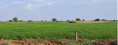 Keshoraipatan, Bundi, Rajasthan, India preview 2