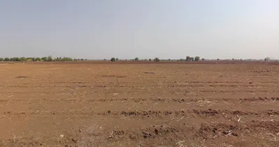 Borlipanchatan, Maharashtra, India preview 3