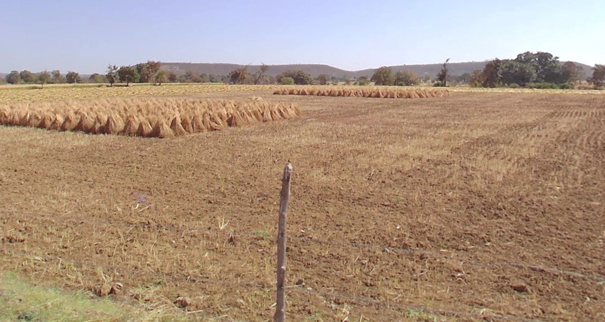 Indokh, Madhya Pradesh 456441, India