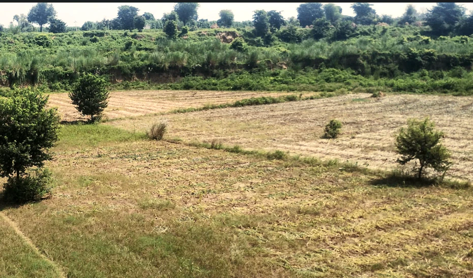 Balachaur, Punjab 144521, India