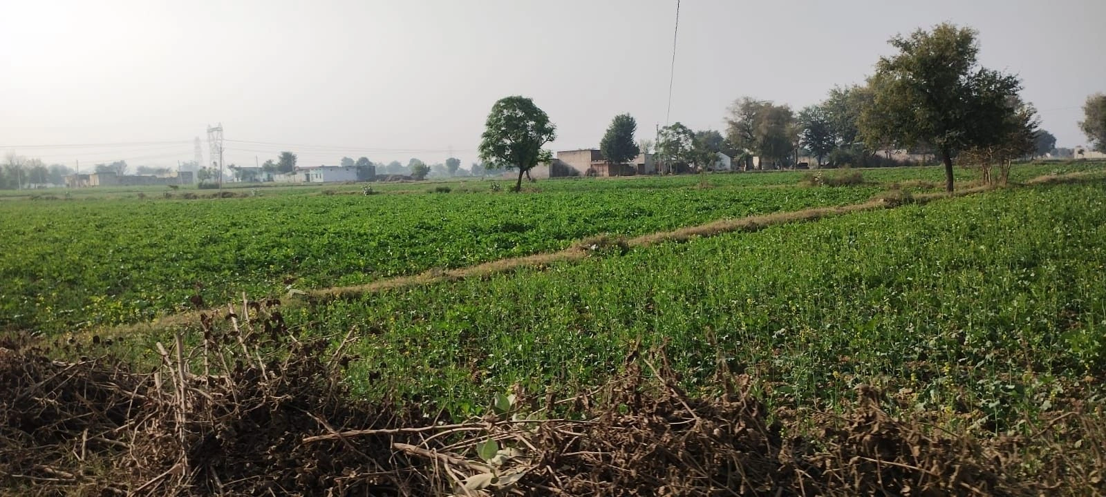 Jatiyana, Rajasthan, India