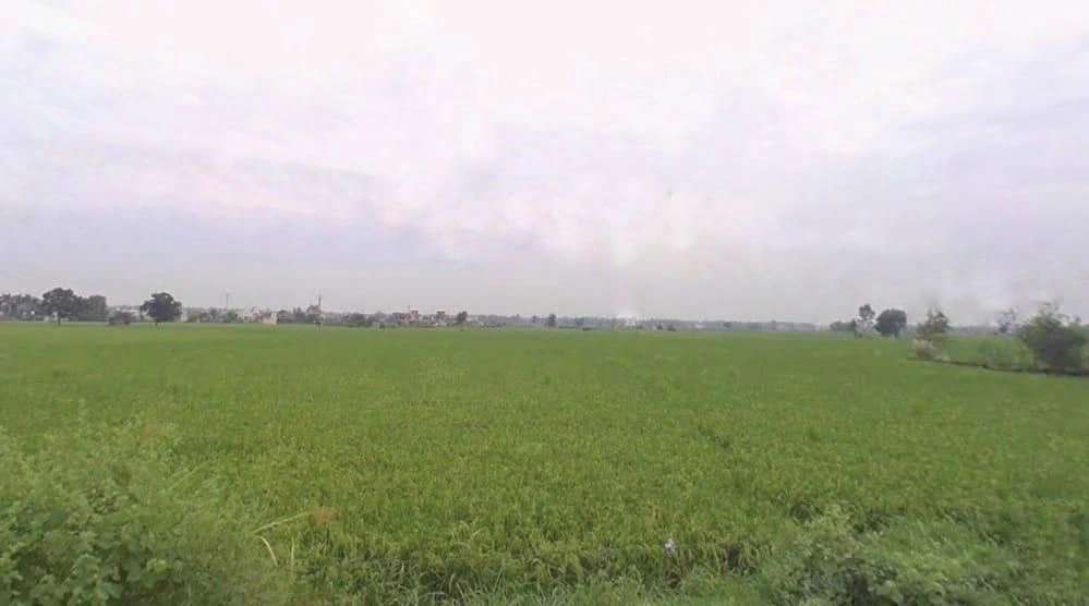 Thakar Pura, Haryana, India