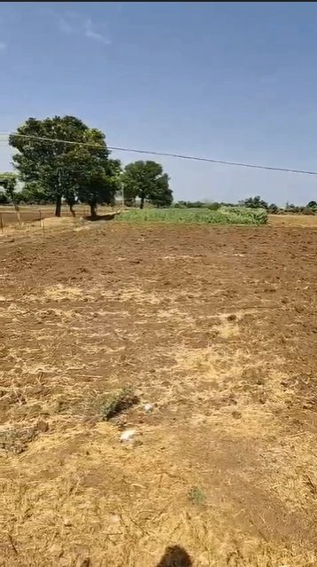 Beechhi, Sonbhadra, Uttar Pradesh 231216, India
