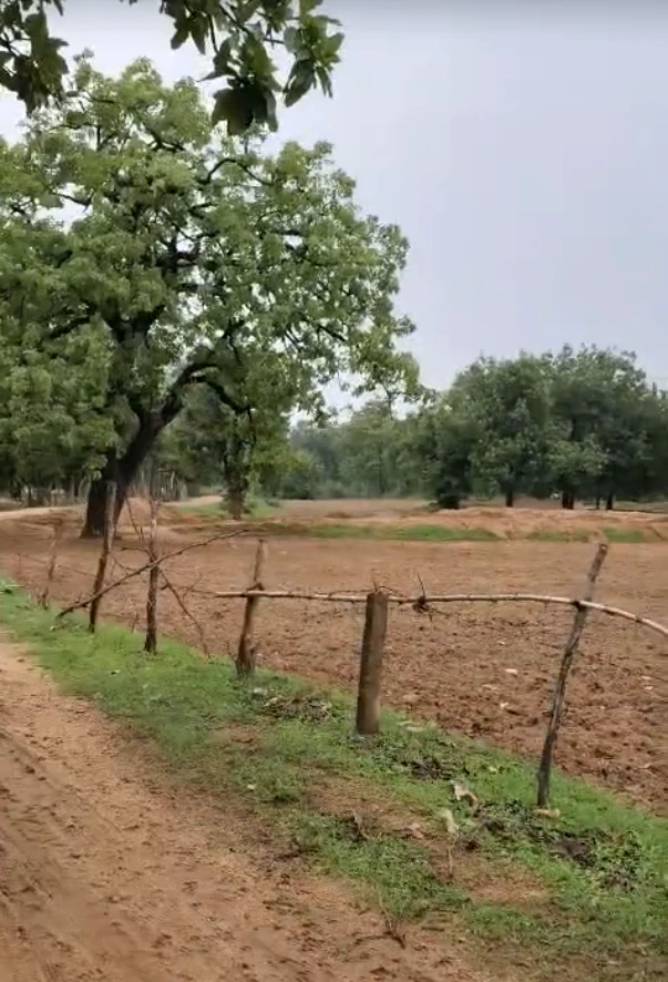 RRRQ+JQJ, Indore, Ringnodiya, Madhya Pradesh, India