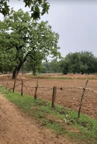 RRRQ+JQJ, Indore, Ringnodiya, Madhya Pradesh, India preview 3
