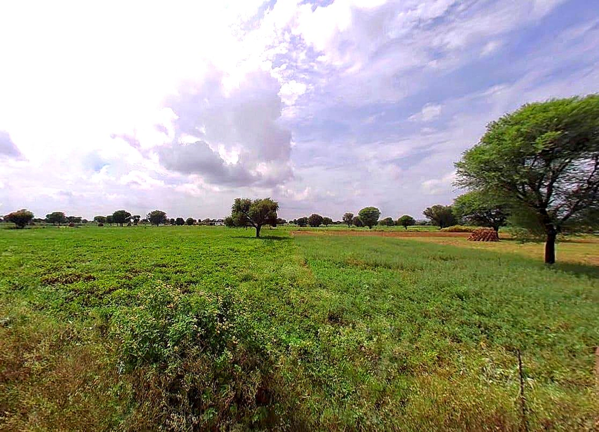 303701, Chatarpura Rd, Keshar Vihar, Jaipur, Chatarpura, Rajasthan 303701, India