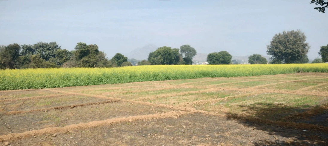 Sarai Banjara, Punjab 140402, India