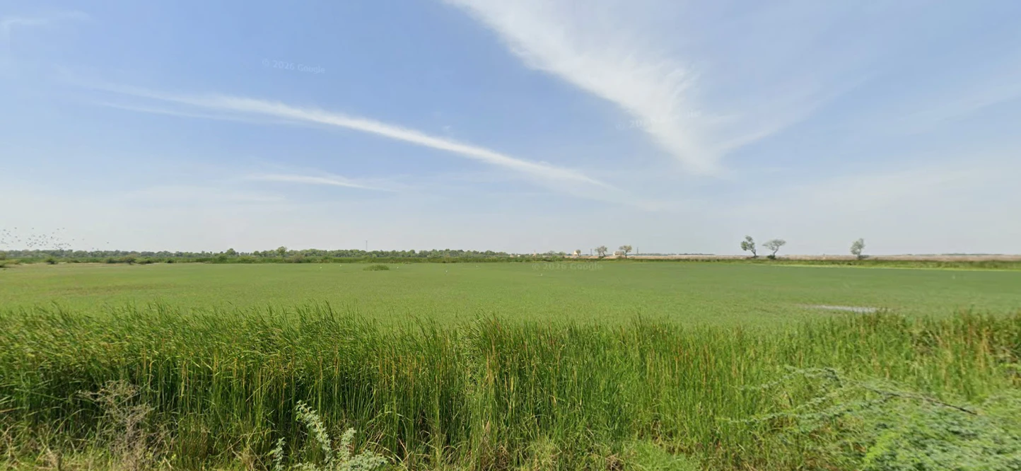 Bazidpur Saboli, Haryana 131029, India