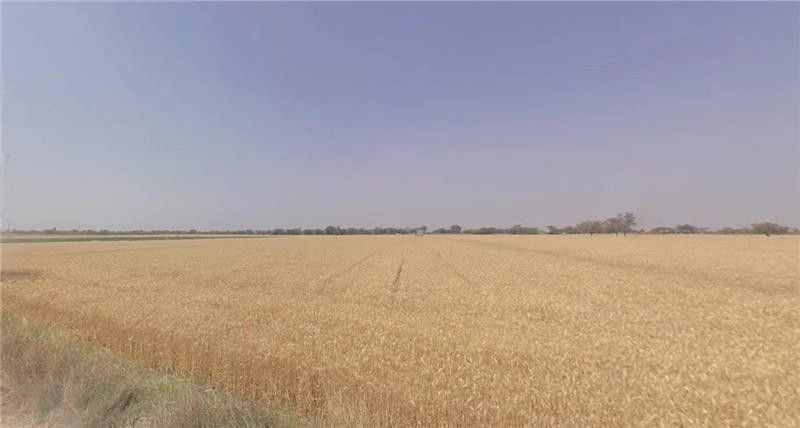 Dodamarg, Maharashtra, India