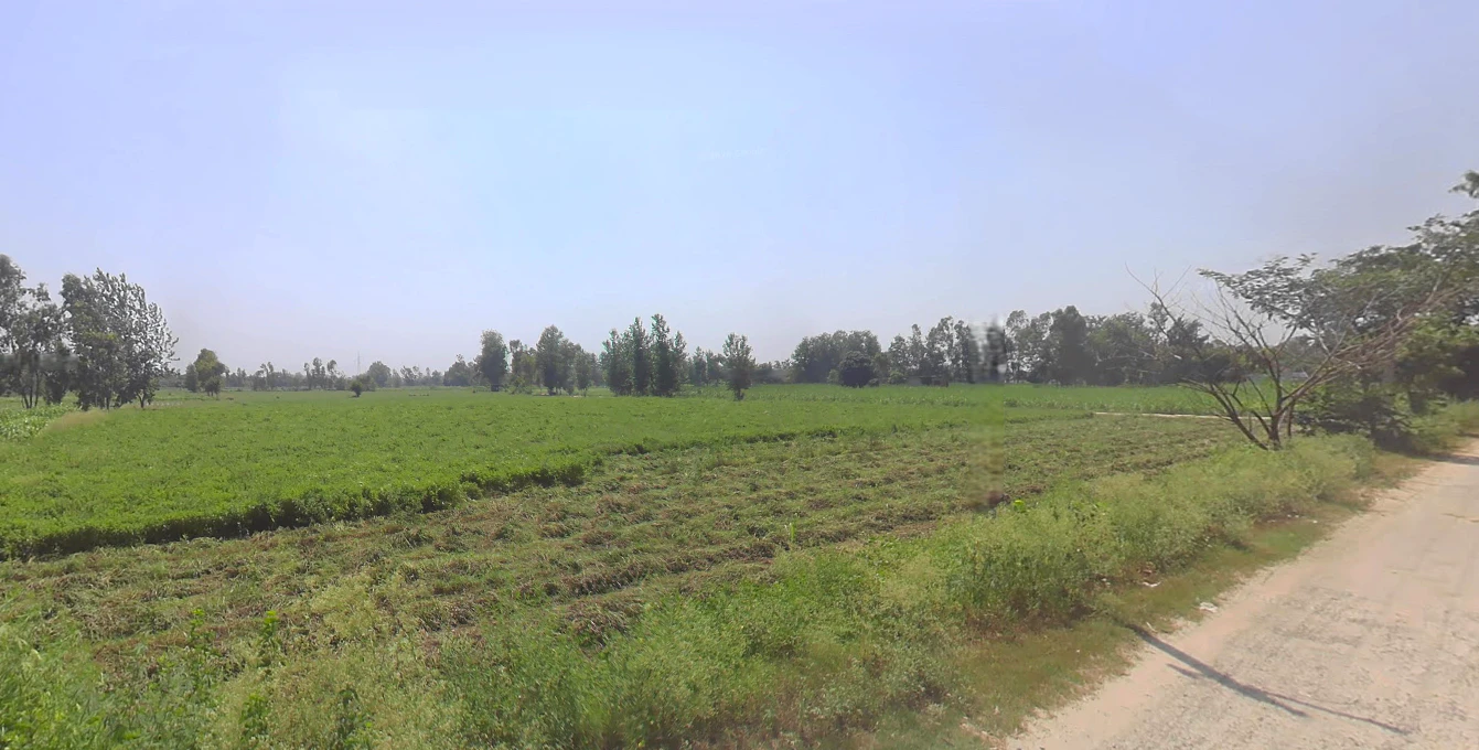 Tanda, Uttar Pradesh 244925, India