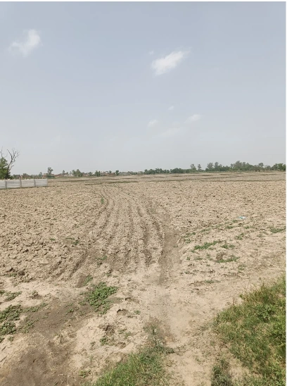 46P2+W6M, Turari, Gwalior, Madhya Pradesh 474001, India