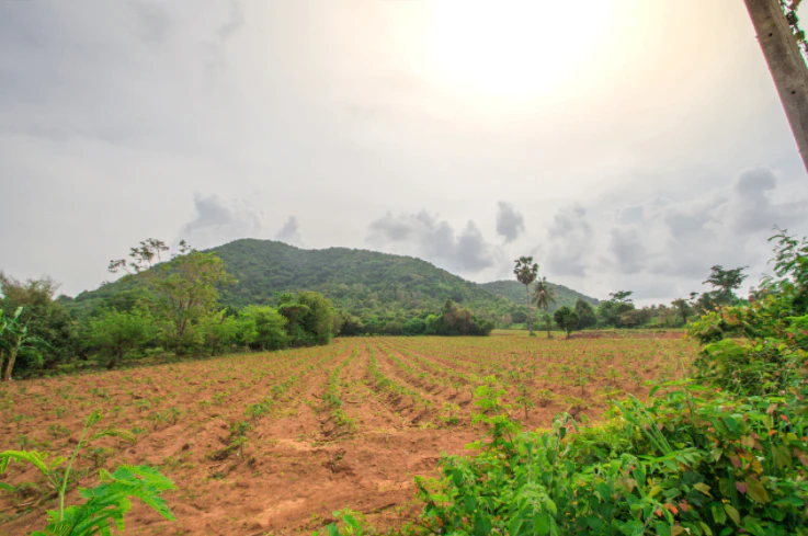 6H64+HH Pithlokhar, Uttar Pradesh, India
