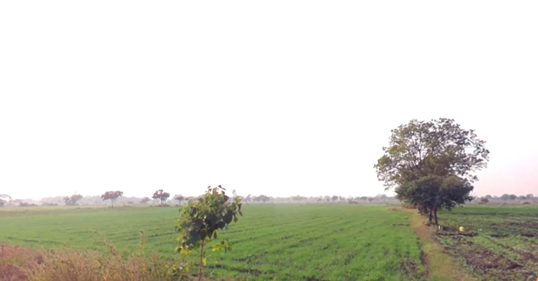 Suwasra, Madhya Pradesh 458888, India