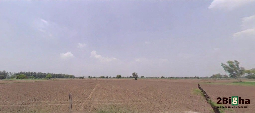 Hansi, Haryana 125033, India